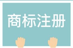 「 注册商标查询」 怎样查询商标是否注册成功