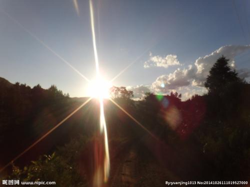 烤鳄鱼(鳄鱼肉为什么那么难吃)