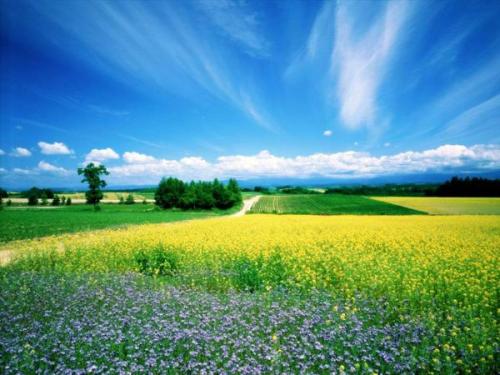 豪华汽车品牌排名