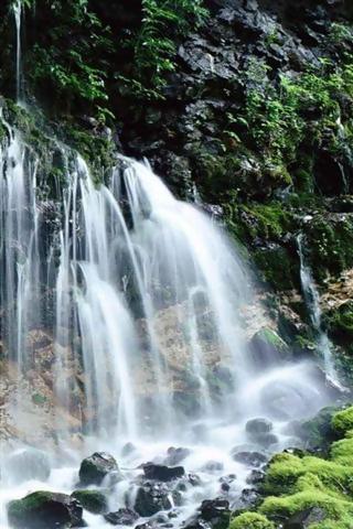 2020年(金融保险)复旦金融历年试题试题