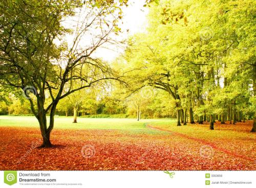 (完整版)特大、重大火灾事故案例整理