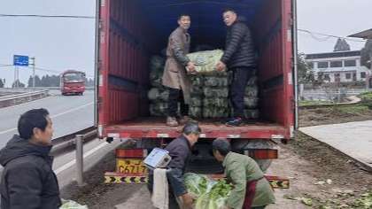 重庆大叔购60吨蔬菜送西安市民 重庆大叔购60吨蔬菜送西安市民