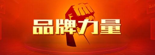 东营加快商标品牌建设服务经济转型升级专题辅导报告会举行