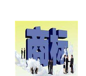 滨城行政认定“中国驰名商标”数量居各县区之