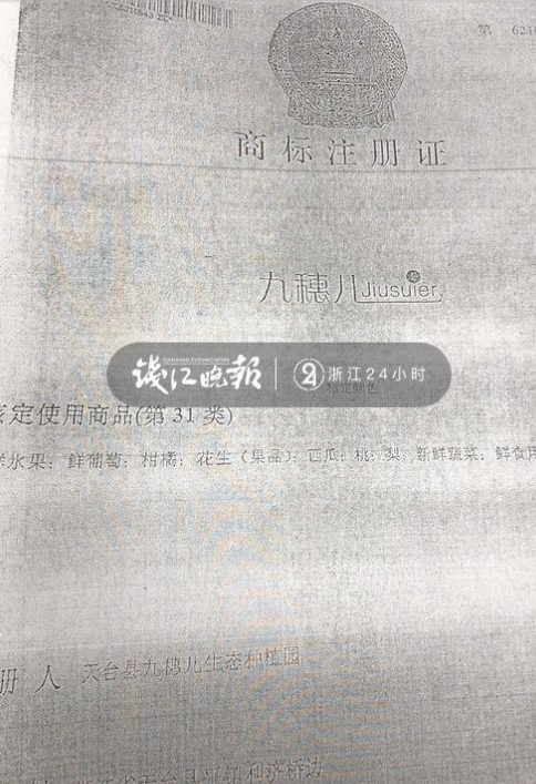 2016年红极一时的“峰会葡萄”，“九穗儿”商标被拍卖了？