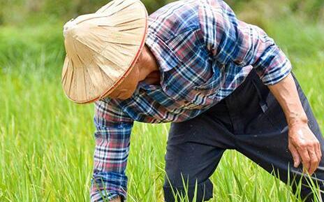 培育新时代“新农商”