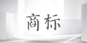 华安法院审结一起非法制造注册商标标识案