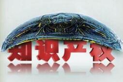 广州成为外资企业知识产权诉讼首选地