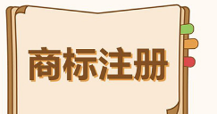 2019年11月地方商标受理窗口和质押受理点工作情